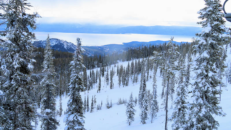 Trees and view of Flathead Lake