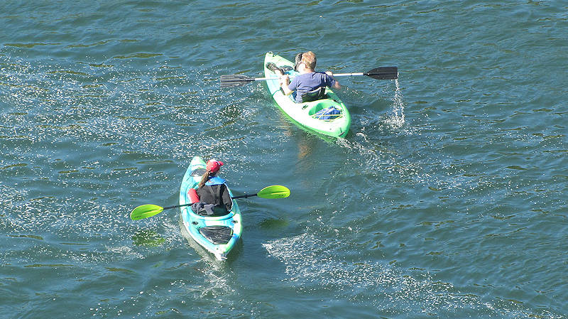 Kayakers on the Willamette River