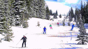 Glade Trail skiers