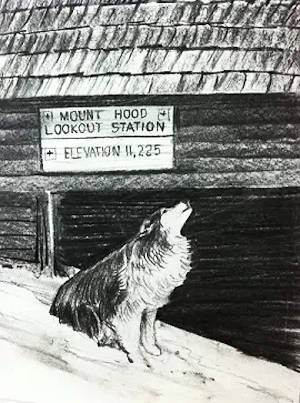 Ranger - the alpinist dog