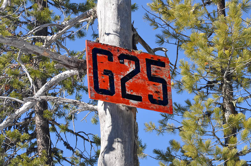 Glade-Trail-09