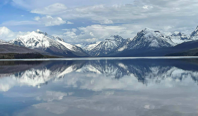 Whitefish 03
