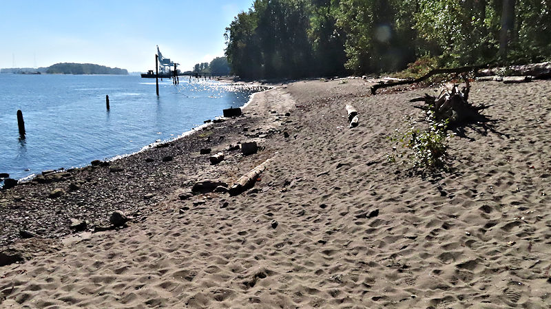 Sandy beach