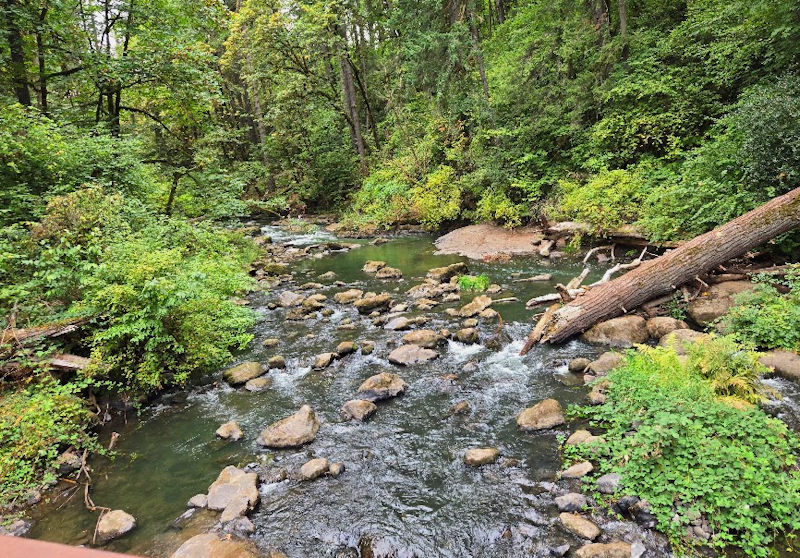 Stream