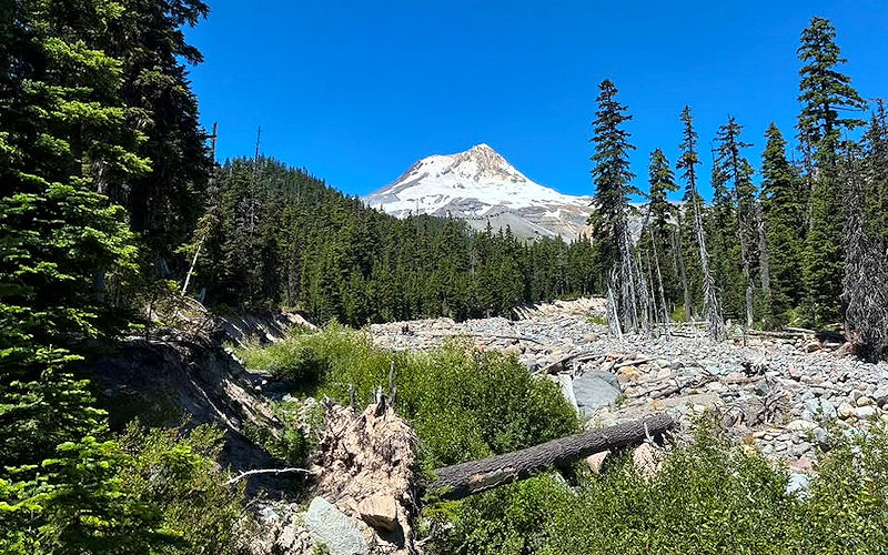 Meadows hike 3