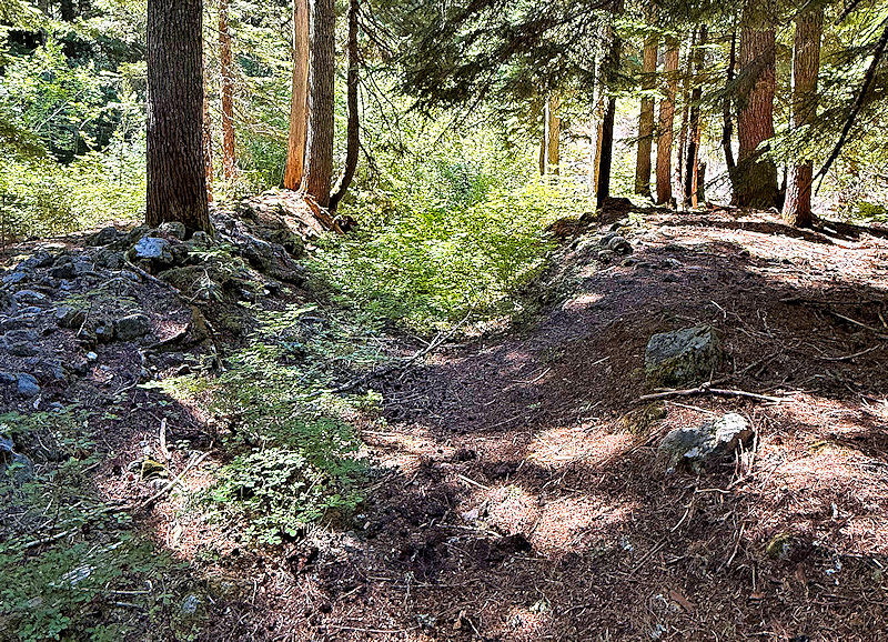 Crpssing East Salmon River